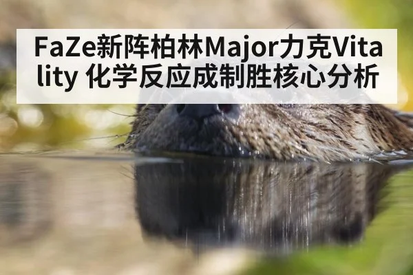 FaZe新阵柏林Major力克Vitality 化学反应成制胜核心分析