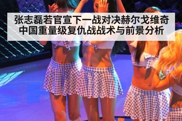 张志磊若官宣下一战对决赫尔戈维奇 中国重量级复仇战战术与前景分析