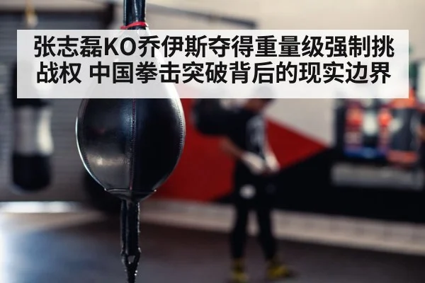 boxer training gym punching bag
